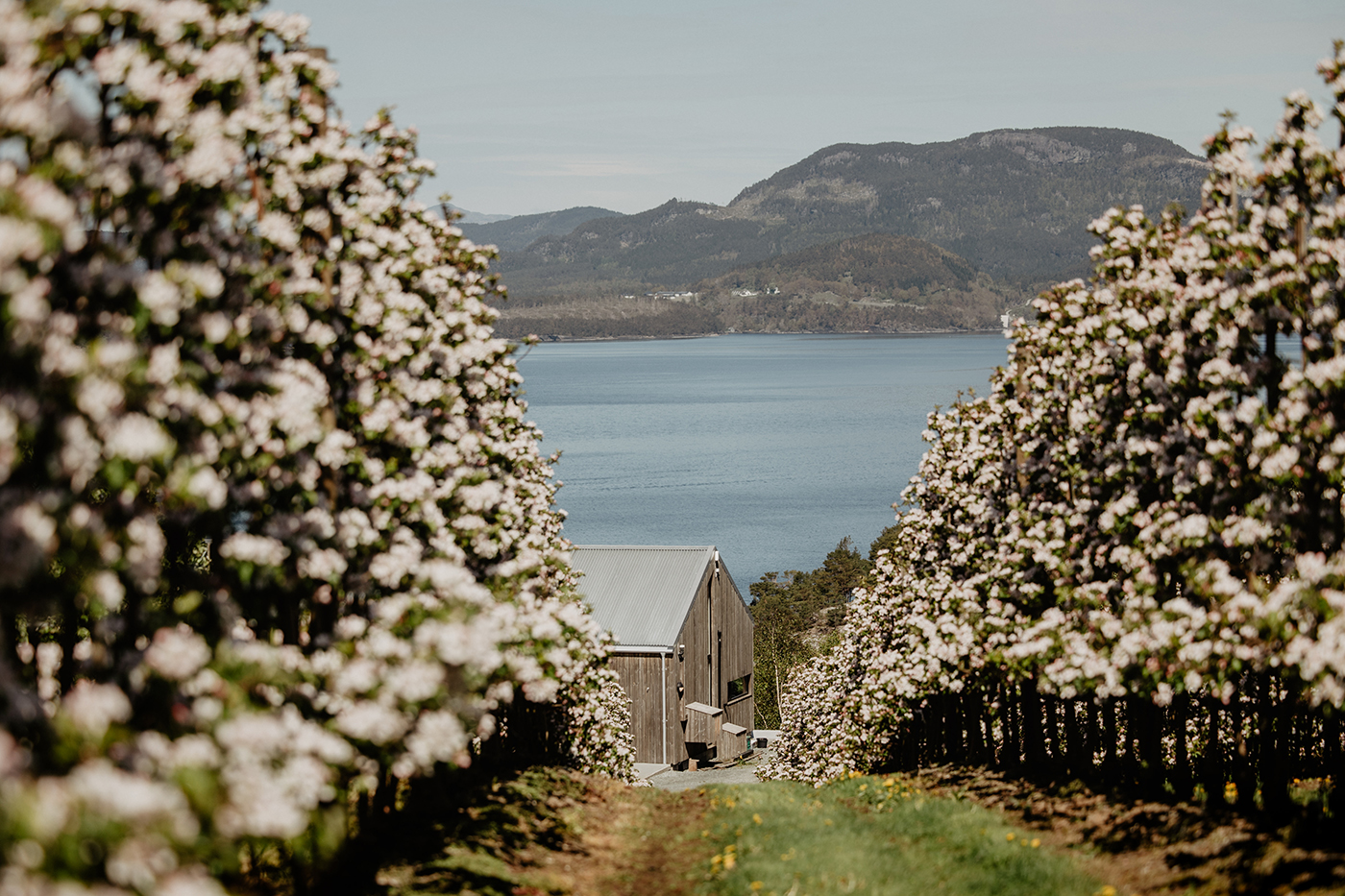 Tur til Helgøy i Ryfylke